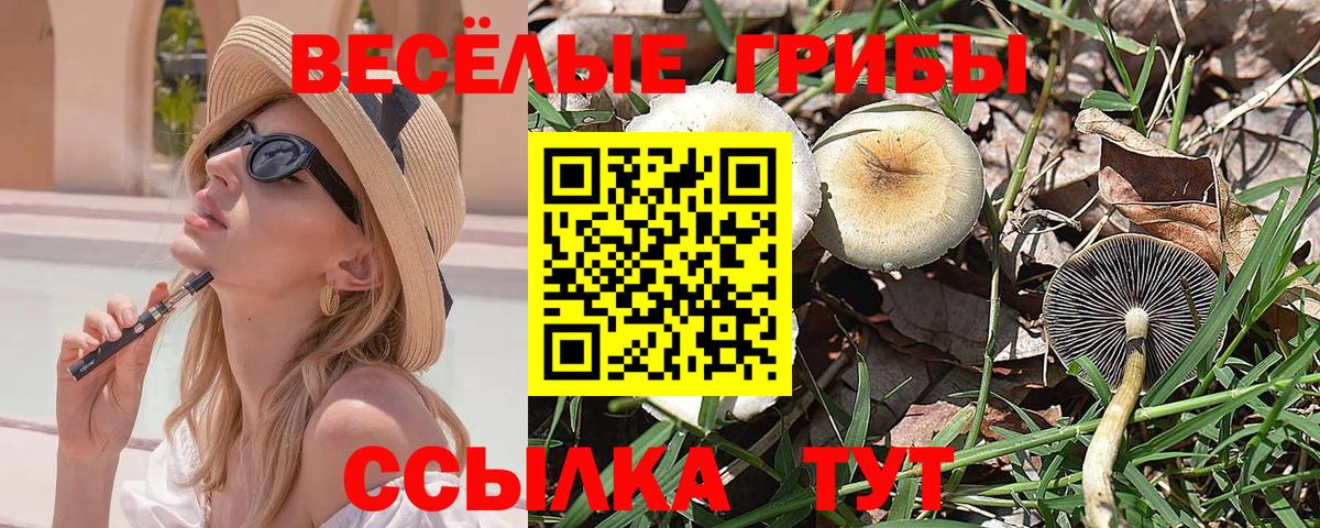 Псилоцибиновые грибы прущие грибы  Псилоцибиновые грибы Psilocybine cubensis  Вход с VPN  Родники 