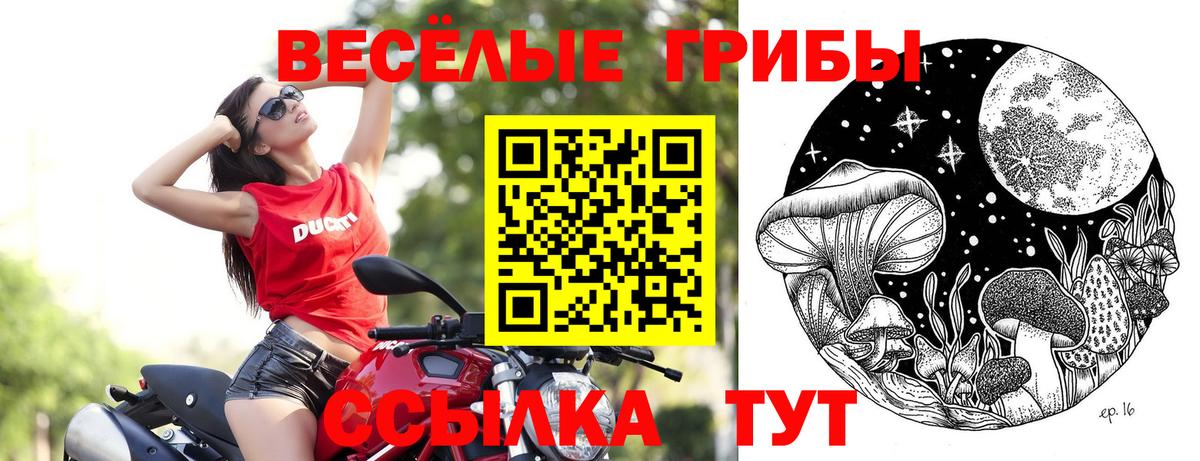 Псилоцибиновые грибы ЛСД Родники